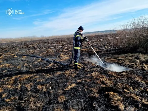 Три пожежі впродовж дня: на Волині горіли торфовища (фото)