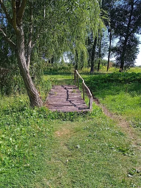 Показали озеро на Волині, де є багато риби