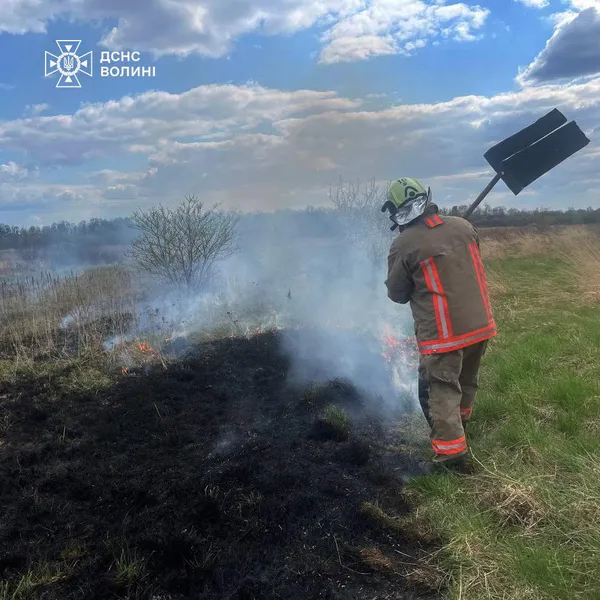 На Волині знову палала суха трава: вогонь охопив понад 3 гектари території (фото)
