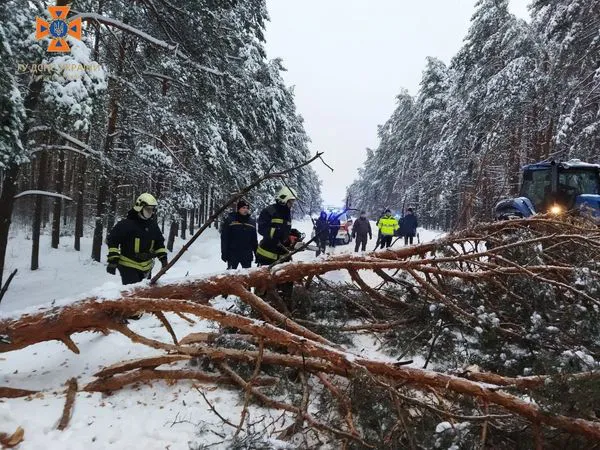 Негода на Волині: рятувальники звільняють дороги від повалених дерев (фото)