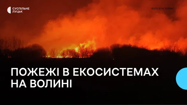 На Волині від початку року зафіксували три пожежі в екосистемах (відео)