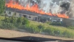 Під Луцьком живцем горять тварини на фермі (відео)