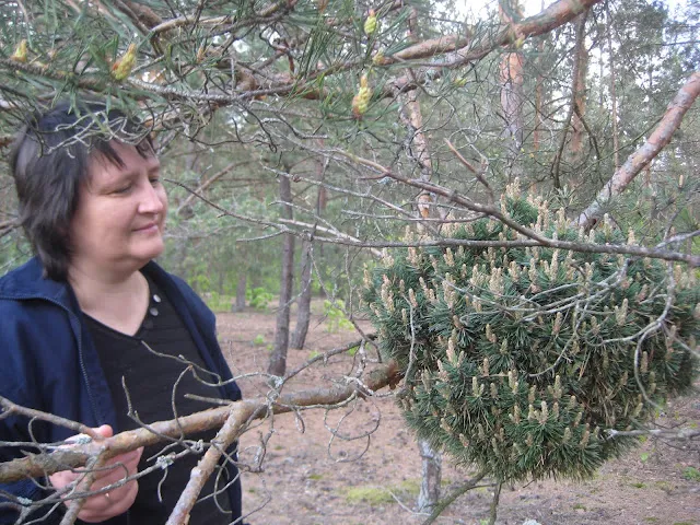 Вчителька географії Любов Редько під час туристично-краєзнавчої експедиції «Загадкова бучинська дача»
