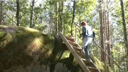 Бог і диявол зійшлися в одному камені: за 230 км від Луцька – аномальна зона, куди їдуть омолодитися (відео)