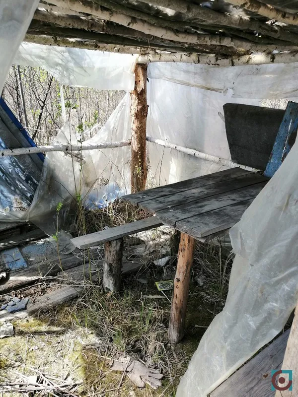 Бурштиновий промисел на карантині: що відбувається на поліських клондайках (фото, відео)