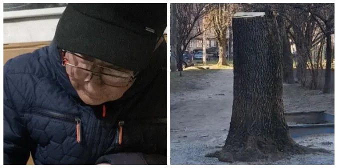 У Луцьку муніципали покарали людину за зрізане дерево