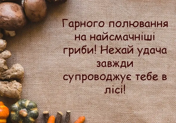 3 жовтня – День грибника: найкращі листівки та теплі привітання