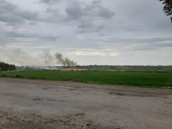Біля траси «Львів-Луцьк» палає долина (фото)