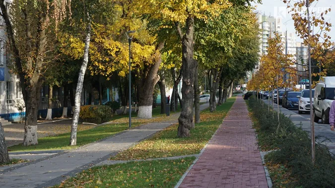Осінь у Луцьку: місто заграло барвами (фото)
