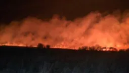 На Волині знову палала суха трава: вогонь охопив понад 3 гектари території (фото)