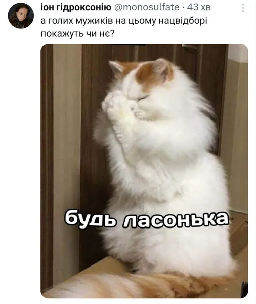 Нацвідбір «Євробачення» вибухнув мемами: українці жартують швидше, ніж голосують (фото)