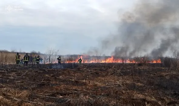 Вогняні стовпи в заплаві Прип'яті: на Волині майже півтори доби гасили масштабну пожежу (фото)