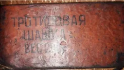 10 кілограмів тротилу: волинянин торгував військовими засобами ураження (фото)