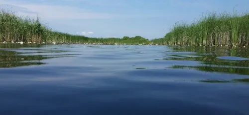 Село з жителями провалилося під землю і стало озером: де на Волині є легендарна водойма