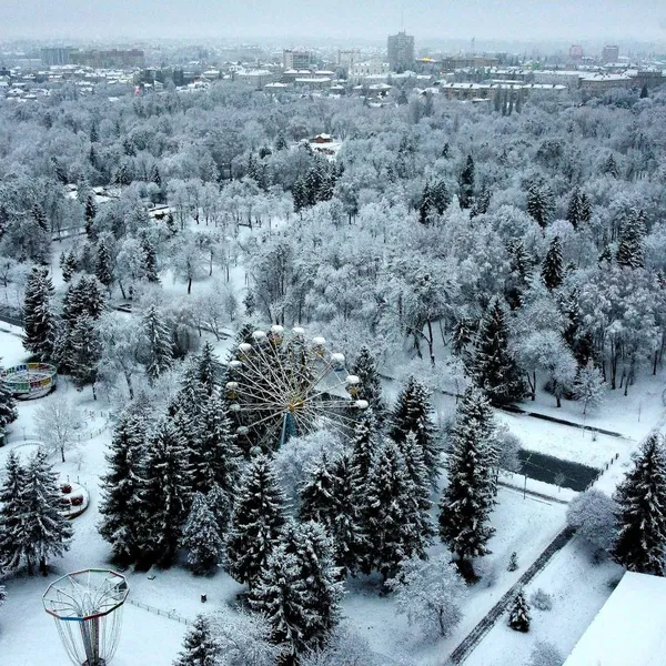 Крутезні фото засніженого Луцька з висоти