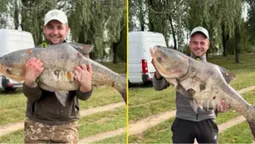 На Ковельському водосховищі рибалки спіймали гігантського товстолоба