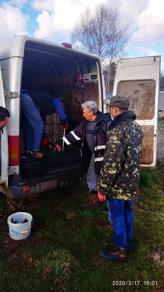У Хрінницьке водосховище вселили майже тонну риби