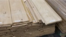 На Волині фірма відмовляється платити за деревину дуба майже мільйон євро  (відео)
