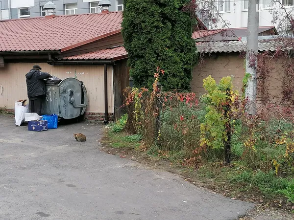 Осінь у  Луцьку (фото)