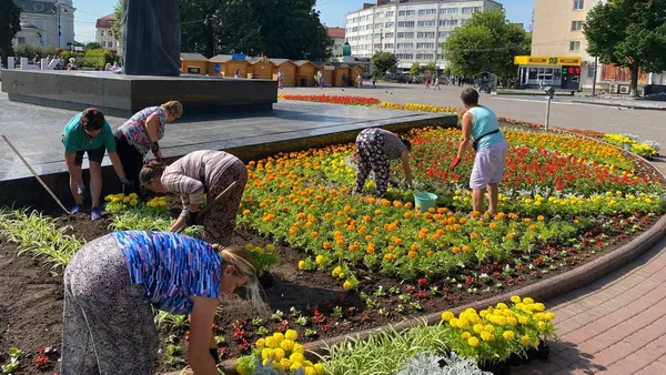 Скільки цього року витратять на озеленення Луцька (відео)