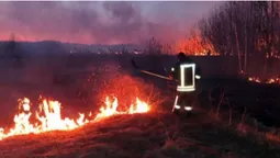 На Волині вигоріло понад 5 гектарів сухостою (фото)