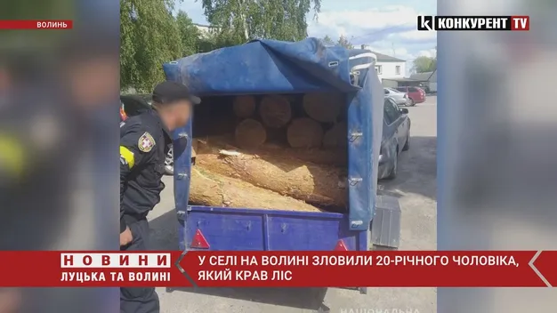 На Волині водій «запакував» у причеп майже два десятки соснових колод (фото, відео)