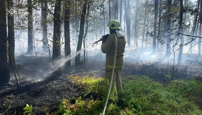 Горять гектари: на Волині рятувальники гасять масштабну лісову пожежу (фото)