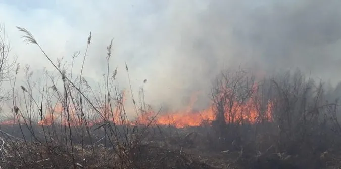 Безвідповідальність людей вражає: на Волині горіло понад два гектари сухої трави (фото)