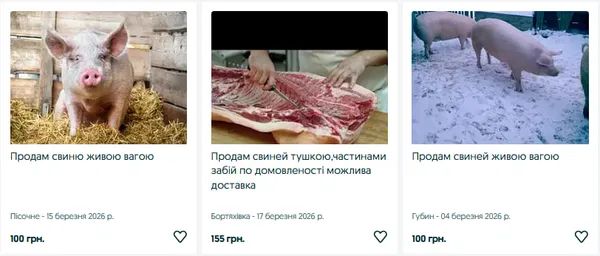 Рожеві «годувальниці»: яка ціна свиней на Волині