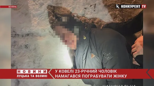 На Волині небайдужі громадяни самотужки затримали грабіжника (фото, відео)