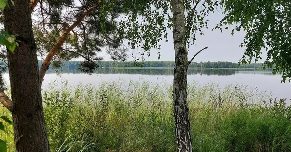 За 150 км від Луцька причаїлось незаймане озеро Шині з прозорою водою та всілякою рибою (фото)