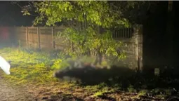 Був п'яним: вночі на Волині розбився 24-річний мотоцикліст