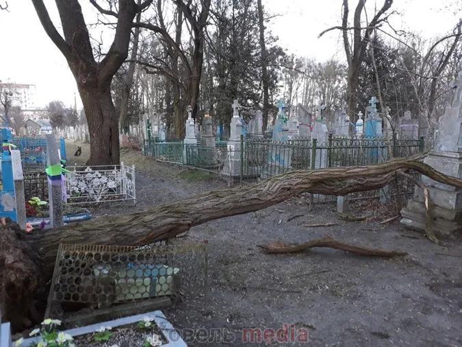 Пам’ятники розбиті: у Ковелі на кладовищі вітер повиривав дерева з корінням (фото, відео)