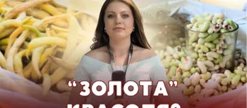 Засуха вдарила по городині: що коїться з цінами на бобові на ринку Луцька (відео)