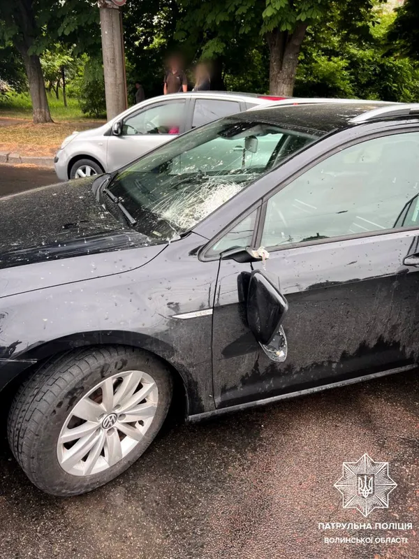 За пів року в ДТП на Волині загинули майже пів сотні людей