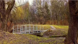 Парк 900-річчя Луцька став проблемним, – прокуратура (відео)