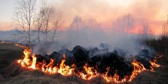 🔥Через спеку: на Волині – надзвичайний рівень пожежної небезпеки