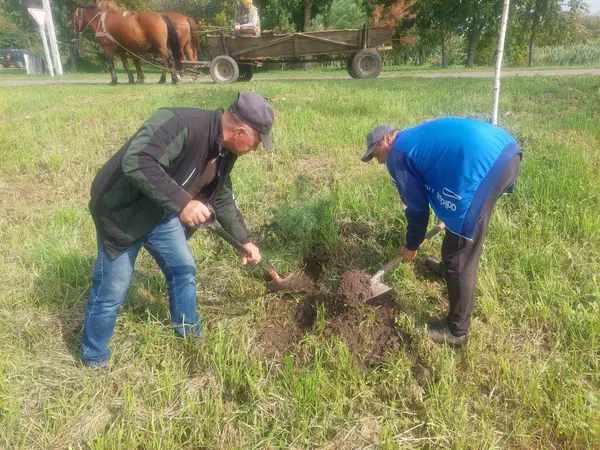 У Хорлупах на місці закинутого складу заклали новий сквер (фото)