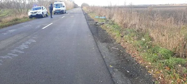 Водій вантажівки був п'яним: деталі жахливої ДТП біля Луцька, в якій загинула велосипедистка (фото)