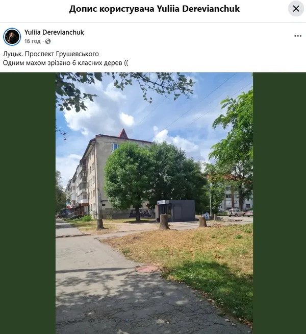 На Грушевського у Луцьку пустили під ніж «шість класних дерев» (фото)