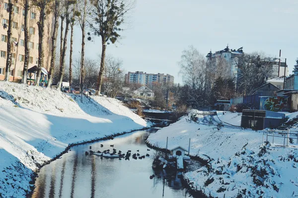 Зимовий «CityPark»: експозиція, місток та голуби (фото)