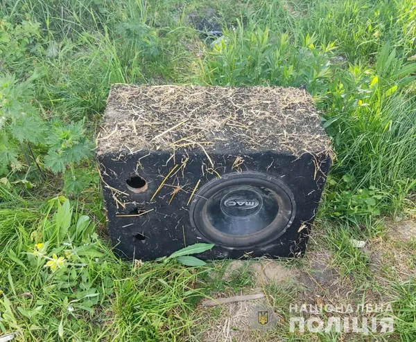 У волинському селі підліток обікрав будинок культури (фото)