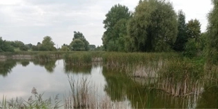 У Луцькому районі здають в оренду дві великі водойми для розведення риби