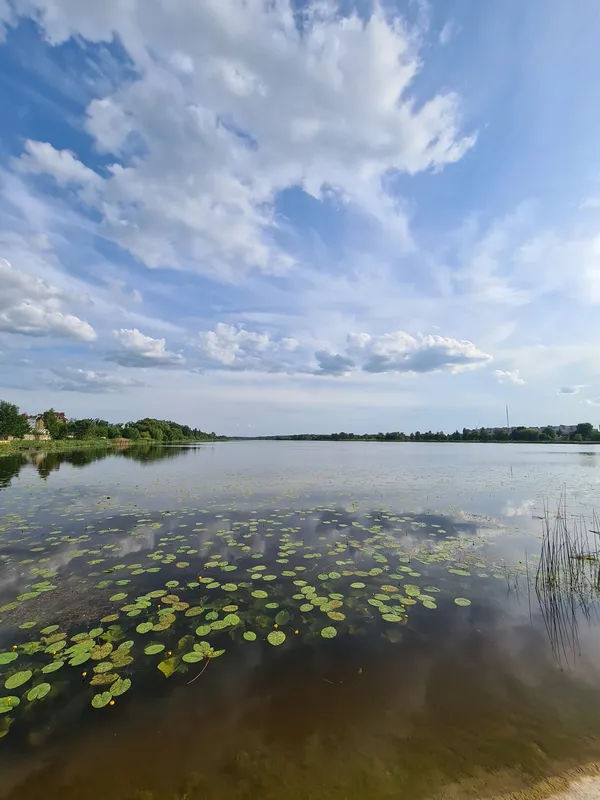Неймовірна краса волинської річки (фото)