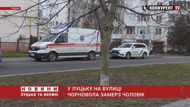 У Луцьку на Чорновола знайшли труп на смітнику (відео)