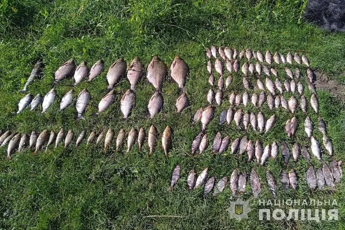 Сітками з човна: у Луцькому районі браконьєр наловив риби на 200 тисяч гривень (фото)