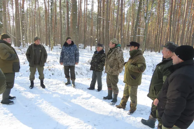 У «Цуманській пущі» порахували зубрів (фото)