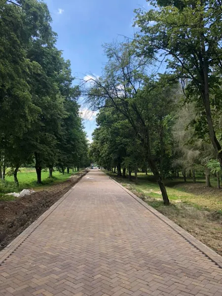 У луцькому парку скульптури Голованя поставлять у ряд і підсвітять (фото)