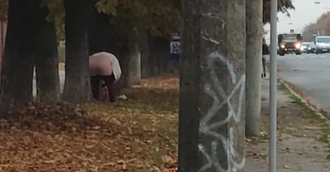 У Луцьку жінка «окропила» дерево посеред вулиці (фото 18+)