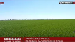 Україна засіяла основними сільськогосподарськими культурами половину запланованих площ (відео)